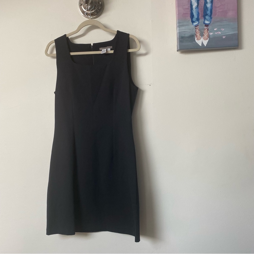 Isabella Bird sheath dress